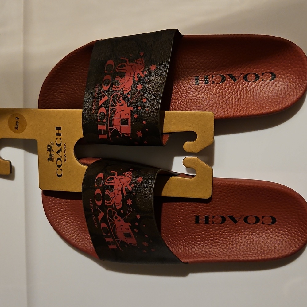 Coach slides